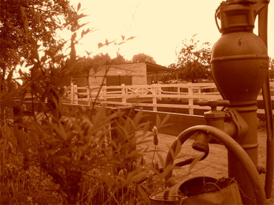 FDotografia Freelance